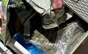 Foto: MUP TK / Opojna droga