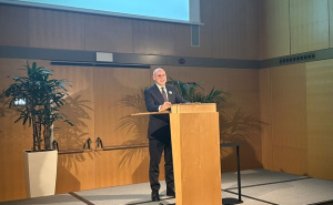 Foto: Ustupljena fotografija / Komemoracija u Frankfurtu