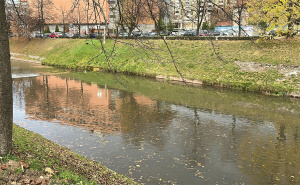 Foto: S. P./Radiosarajevo.ba / Jesen u Sarajevu