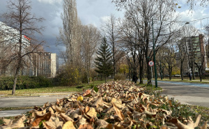 Foto: S. P./Radiosarajevo.ba / Jesen u Sarajevu
