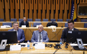 Foto: N.G./Radiosarajevo.ba / COSAP u Sarajevu