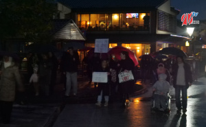 Foto: Kalesija Online / Mirna protestna šetnja u Kalesiji