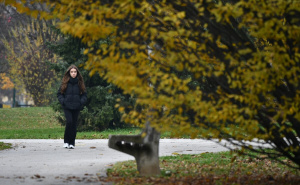 Foto: A.K./Radiosarajevo.ba / Novembarska šetnja