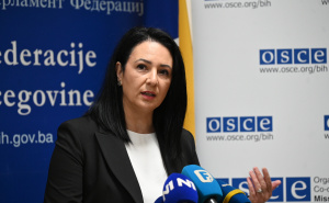 Foto: N. G. / Radiosarajevo.ba / Održana tematska sjednica o "Sistemskom odgovoru na nasilje u porodici..."