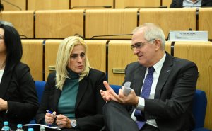 Foto: N. G. / Radiosarajevo.ba / Održana tematska sjednica o "Sistemskom odgovoru na nasilje u porodici..."