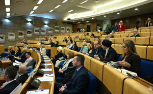 Foto: N. G. / Radiosarajevo.ba / Održana tematska sjednica o "Sistemskom odgovoru na nasilje u porodici..."