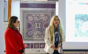 Foto: Dž.K. / Radiosarajevo.ba / Predavanje 'Tragovima boga Mitre' u Sarajevu