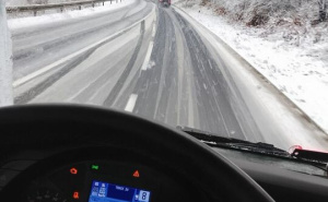 Radiosarajevo.ba / Komar