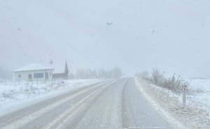 Radiosarajevo.ba / Rostovo