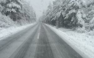 Foto: Čitatelj / Bosanski Petrovac