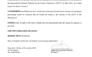 Foto: Printscreen / Odluka MMKS-a o aplikaciji za puštanje zločinca Mladića