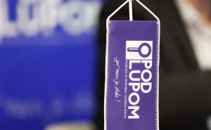 Foto: Dž. K. / Radiosarajevo.ba / Koalicija "Pod lupom"