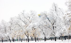 Foto: Dž. K. / Radiosarajevo.ba / Snijeg na Vilsonovom šetalištu