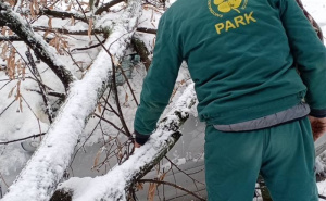 Foto: KJKP Park / Snijeg u Sarajevu