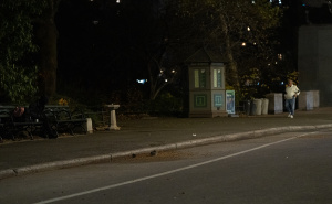 Foto: AA / Pacovi u New Yorku