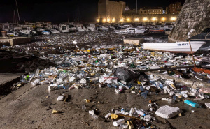 Foto: Grgo Jelavić/PIXSELL / Tone smeća zatrpale luku i plažu u Dubrovniku