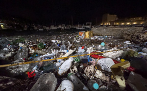 Foto: Grgo Jelavić/PIXSELL / Tone smeća zatrpale luku i plažu u Dubrovniku