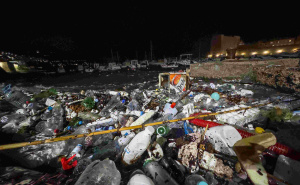 Foto: Grgo Jelavić/PIXSELL / Tone smeća zatrpale luku i plažu u Dubrovniku