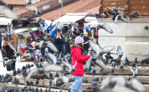 Foto: Dž.K. / Radiosarajevo.ba / Šetnja Sarajevom