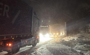 FOTO: Facebook / Zastoj na Bradini