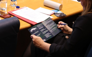 Foto: E. L. / Radiosarajevo.ba / Konferencija  o zaštiti okoliša u PSBiH