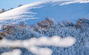 Foto: Boris Trogrančić / Planina Vranica