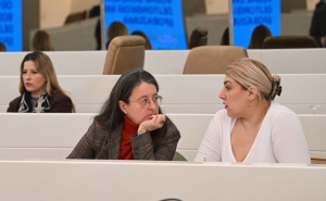 Foto: N. G. / Radiosarajevo.ba / Konferencija "Rodne dimenzije Dejtonskog mirovnog sporazuma"