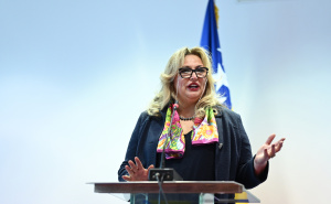 Foto: N. G. / Radiosarajevo.ba / Konferencija "Rodne dimenzije Dejtonskog mirovnog sporazuma"