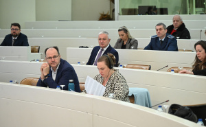 Foto: N. G. / Radiosarajevo.ba / Konferencija "Rodne dimenzije Dejtonskog mirovnog sporazuma"