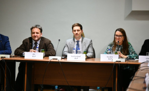 Foto: A. K. / Radiosarajevo.ba / Sjednica PIC-a