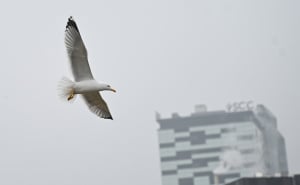 Foto: N. G. / Radiosarajevo.ba / Sivilo u Sarajevu