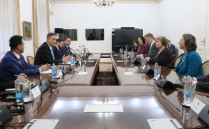 Foto: Kabinet Denisa Bećirovića / Bećirović razgovarao s članovima Odbora za vanjske poslove Parlamenta UK