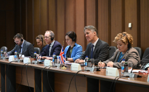 Foto: N. G. / Radiosarajevo.ba / Sastanak komisija Parlamenta BiH i Velike Britanije