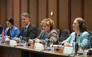 Foto: N. G. / Radiosarajevo.ba / Sastanak komisija Parlamenta BiH i Velike Britanije