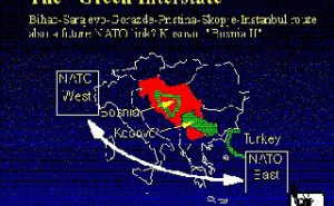 Foto: Printscreen / Zelena transverzala (Prva Srpska TV)