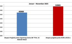 Foto: KCUS / Grafički prikaz rezultata
