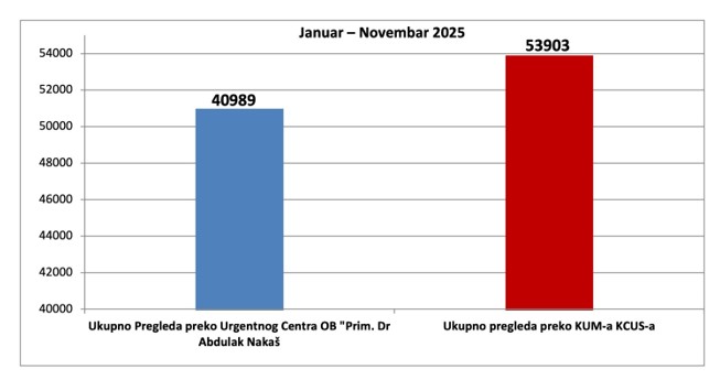 Grafički prikaz rezultata