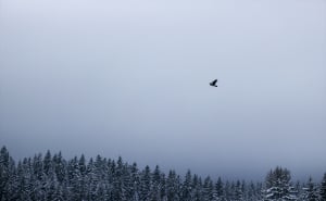 FOTO: AA / Tišina, bijeli pejzaži i čist zrak na Igmanu