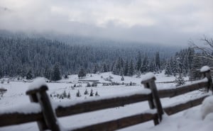 FOTO: AA / Tišina, bijeli pejzaži i čist zrak na Igmanu
