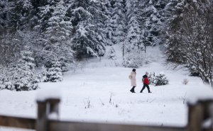 FOTO: AA / Tišina, bijeli pejzaži i čist zrak na Igmanu