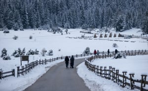 FOTO: AA / Tišina, bijeli pejzaži i čist zrak na Igmanu
