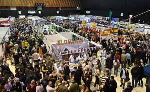 Foto: N. G. / Radiosarajevo.ba / Diplomatski zimski bazar