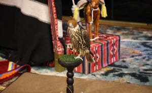 Foto: E. L. / Radiosarajevo.ba / Nacionalni praznik Države Katar u BiH