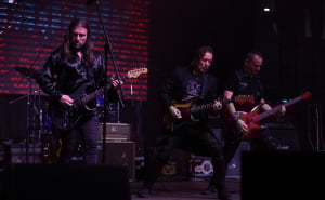 Foto: Milan Maricic/ATAImages/Pixsell / Divlje jagode