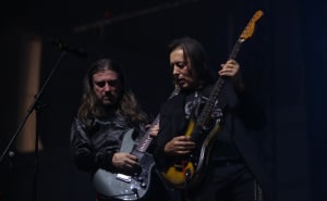 Foto: Milan Maricic/ATAImages/Pixsell / Divlje jagode