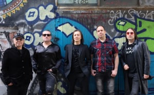 Foto: Katarina Drajic/ATAImages/Pixsell / Divlje jagode