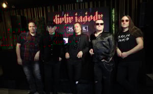 Foto: Katarina Drajic/ATAImages/Pixsell / Divlje jagode