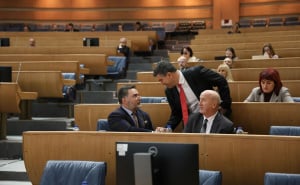 Foto: E. L. / Radiosarajevo.ba / Sjednica Predstavničkog doma PSBiH, 12. decembar 2025.