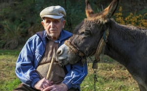 Foto: AA / Djed Raif sa svojim magarcem