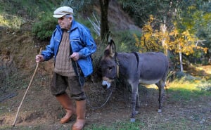 Foto: AA / Djed Raif sa svojim magarcem